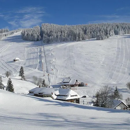Daire Ferienwohnung-todtnauberg-in-der-pension-gloecklehof