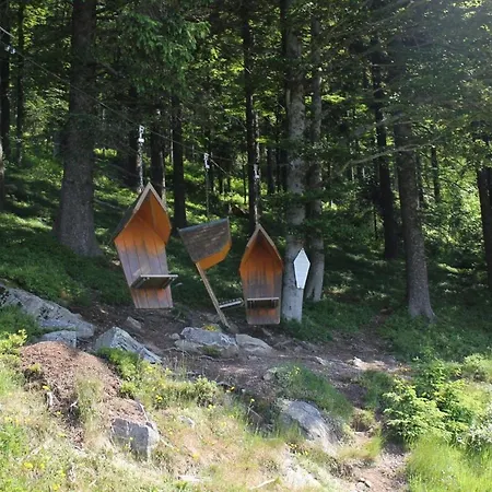 Daire Ferienwohnung-todtnauberg-in-der-pension-gloecklehof Todtnau