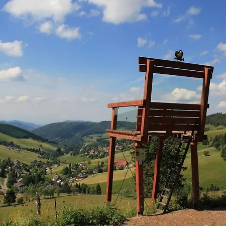 Ferienwohnung-todtnauberg-in-der-pension-gloecklehof Daire