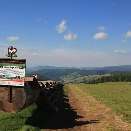 Daire Ferienwohnung-todtnauberg-in-der-pension-gloecklehof